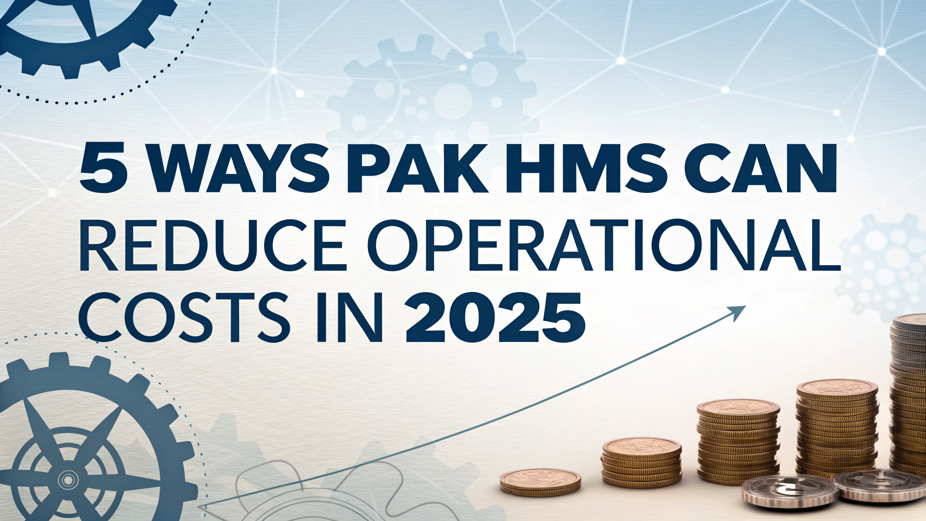 5 Ways PAK HMS Can Reduce Operational Costs in 2025